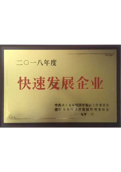 快速發展企業